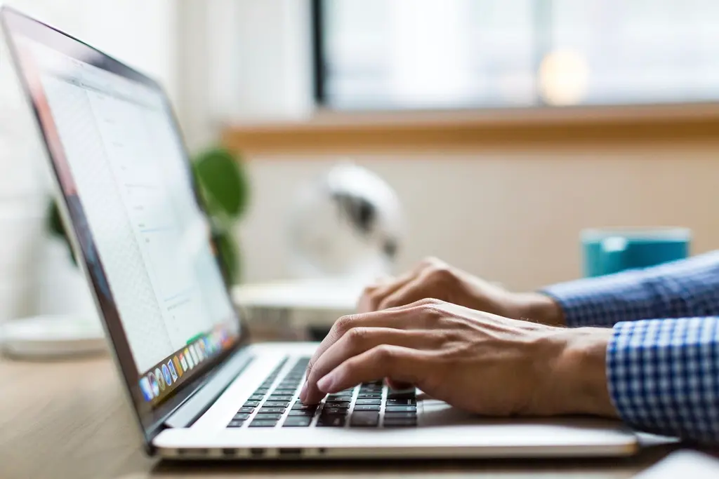 Hands typing on a laptop at a warm, plant-lined home desk